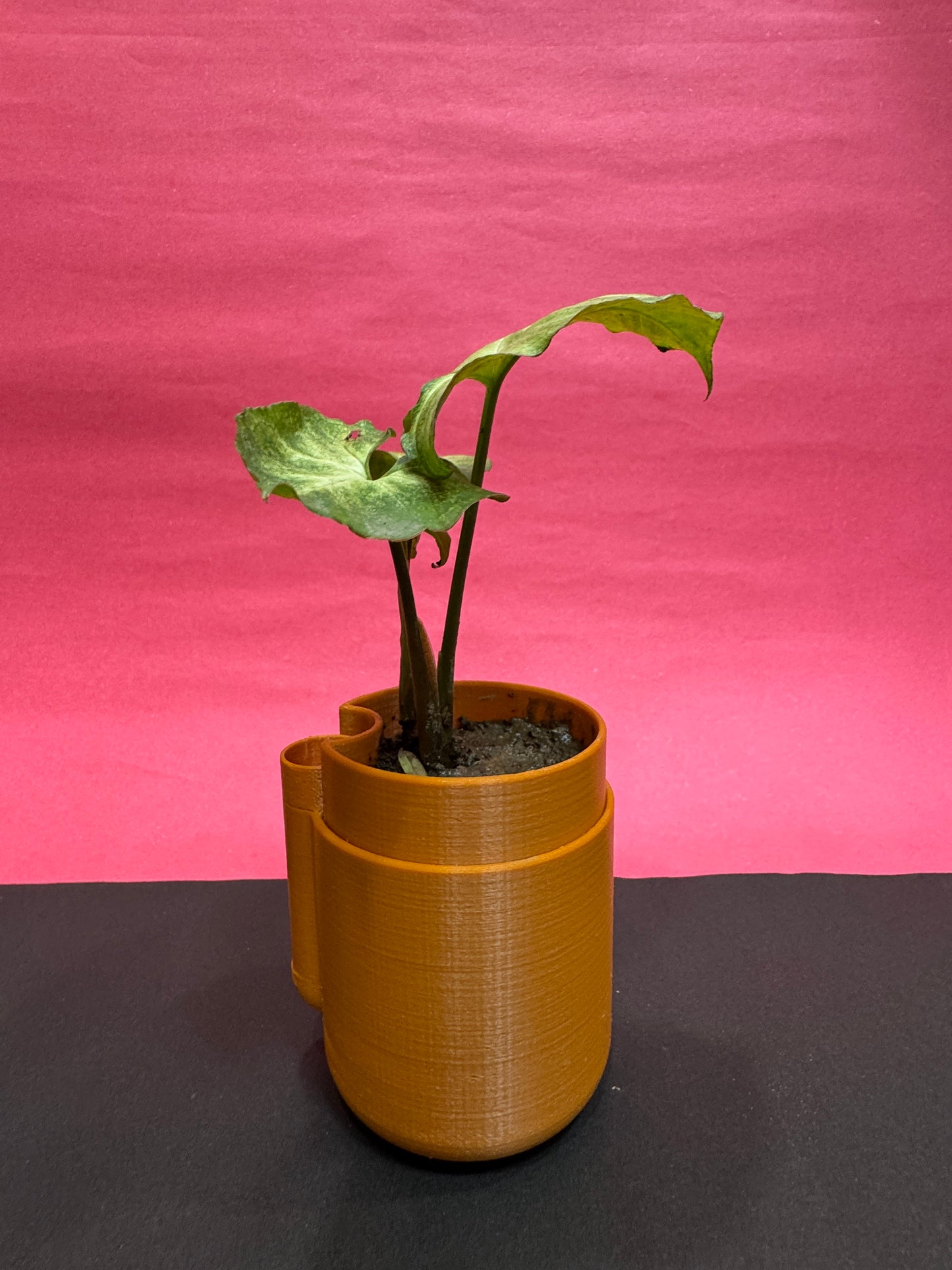 EcoTree Mini Planter - Round