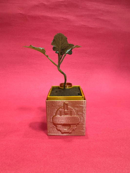 EcoTree Mini Planter - Square