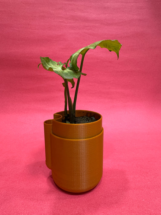 EcoTree Mini Planter - Round